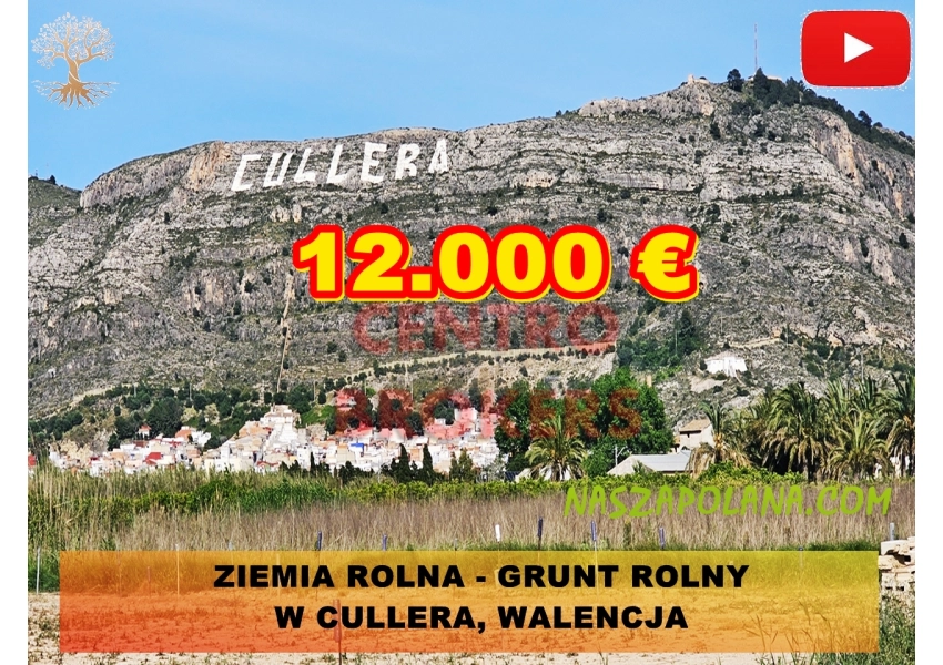Ziemia rolna - grunt rolny w Cullera, Walencja
